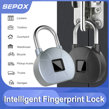 Smart Padlock Black/blue YDPL-0156-1